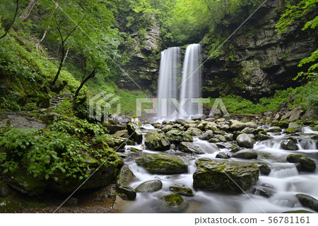 Meotodaki Falls（岐阜縣郡上市高之鎮） 56781161