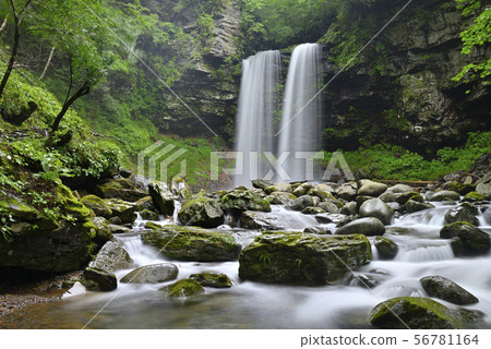 Meotodaki Falls（岐阜縣郡上市高之鎮） 56781164