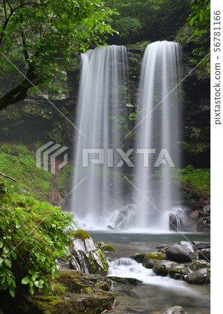 Meotodaki Falls（岐阜縣郡上市高之鎮） 56781166