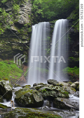 Meotodaki Falls (Takatsuki Town, Gujo City, Gifu Prefecture) 56781169