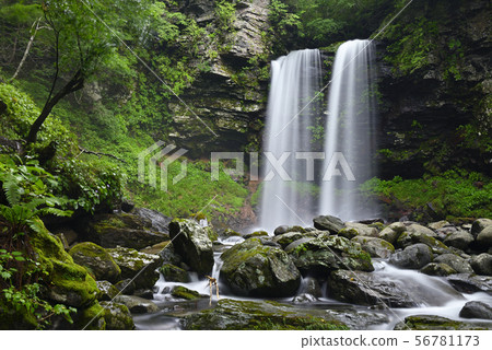 Meotodaki Falls（岐阜縣郡上市高之鎮） 56781173