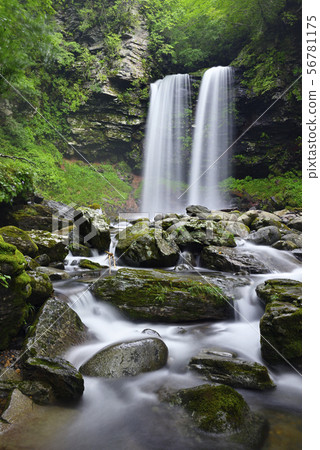 Meotodaki Falls (Takatsuki Town, Gujo City, Gifu Prefecture) 56781175