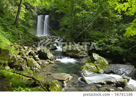 Meotodaki Falls (Takatsuki Town, Gujo City, Gifu Prefecture) 56781186