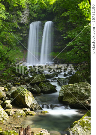 Meotodaki Falls (Takatsuki Town, Gujo City, Gifu Prefecture) 56781190
