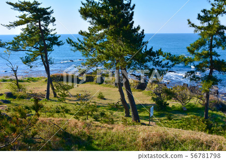 Maruoka Samurai Battery Ruins (Echizen Coast) Maruoka Samurai Battery Ruins (Echizen Coast) 56781798