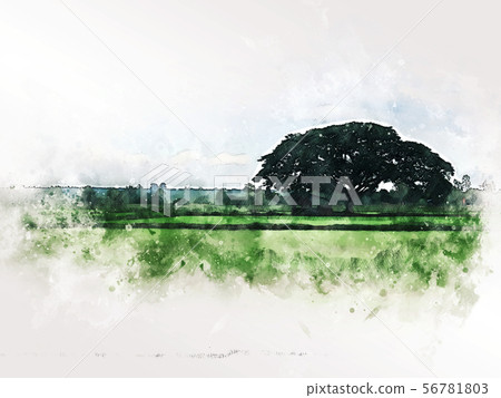 Abstract tree and field landscape watercolor paint Abstract tree and field landscape watercolor paint 56781803