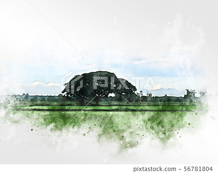 Abstract tree and field landscape watercolor paint Abstract tree and field landscape watercolor paint 56781804