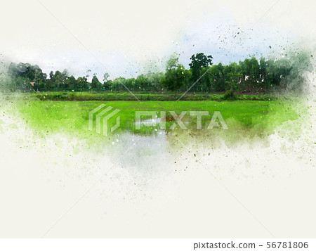 Abstract tree and field landscape watercolor paint Abstract tree and field landscape watercolor paint 56781806