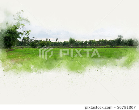 Abstract tree and field landscape watercolor paint Abstract tree and field landscape watercolor paint 56781807