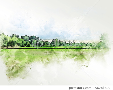 Abstract tree and field landscape watercolor paint 56781809