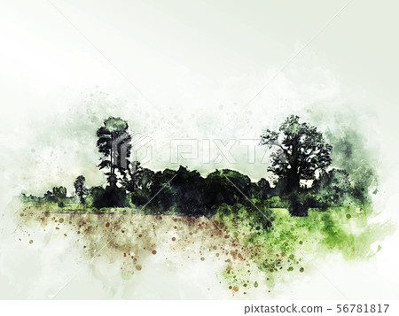 Abstract tree and field landscape watercolor paint Abstract tree and field landscape watercolor paint 56781817