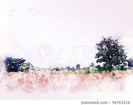 Abstract tree and field landscape watercolor paint Abstract tree and field landscape watercolor paint 56781818