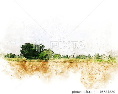 Abstract tree and field landscape watercolor paint Abstract tree and field landscape watercolor paint 56781820