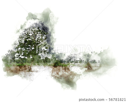 Abstract tree and field landscape watercolor paint Abstract tree and field landscape watercolor paint 56781821