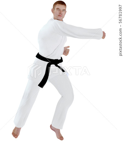 空手道的房子 空手道的房子 56781997