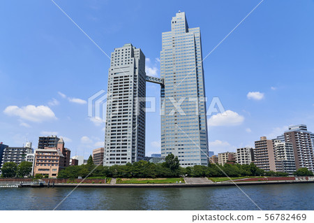 聖盧克花園和隅田川的風景 56782469