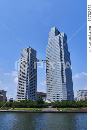 聖盧克花園和隅田川的風景 56782471