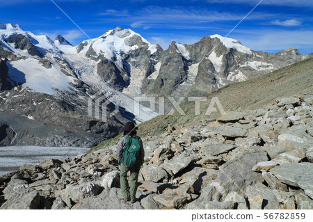 Pitz Bernina Morteratsch glacier from Diavolezza view Pitz Bernina Morteratsch glacier from Diavolezza view 56782859
