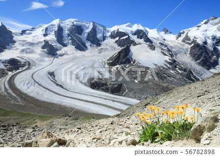 Diavolezza觀點的Pitz Bernina Morteratsch冰川 Diavolezza觀點的Pitz Bernina Morteratsch冰川 56782898