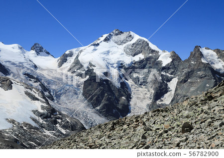 Diavolezza觀點的Pitz Bernina Morteratsch冰川 Diavolezza觀點的Pitz Bernina Morteratsch冰川 56782900