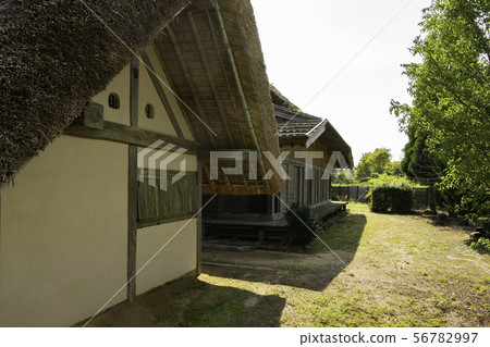 Medieval Yumegahara (Miseicho, Ibara City, Okayama Prefecture) 56782997