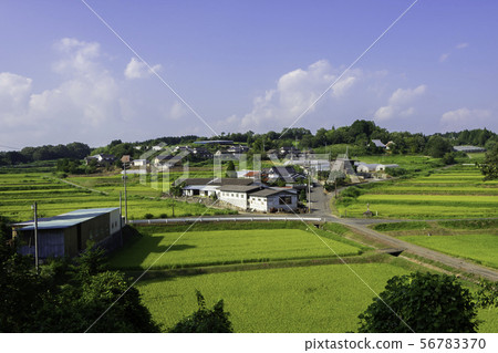Satoyama景觀夏末稻田，從Hoshio Shrine，Mihoshi-cho，Ibara-shi，Okayama查看 56783370