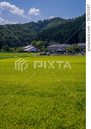 Stork of Township Park 56783387