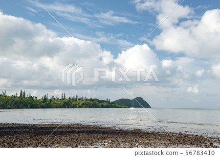 新喀裡多尼亞，Mont d'Or和康沃爾沿海紅樹林 56783410