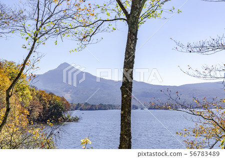 在福島Urabandai的秋天 在福島Urabandai的秋天 56783489