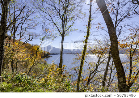 Autumn in Fukushima Urabandai Autumn in Fukushima Urabandai 56783490