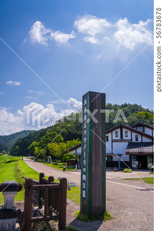 鄉鎮公園的鸛 56783678