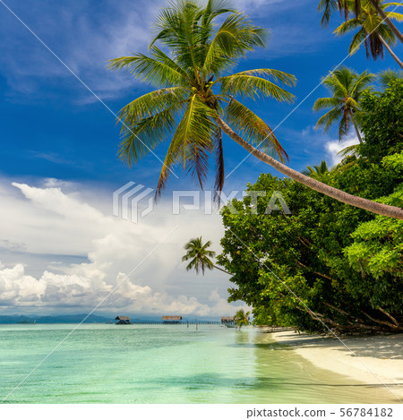 Beautiful Paradise Island -  landscape of tropical 56784182