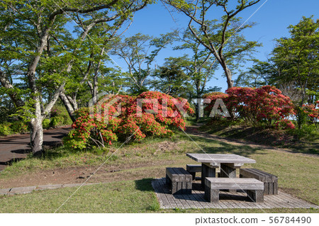 Minoyama Park Chichibu 56784490