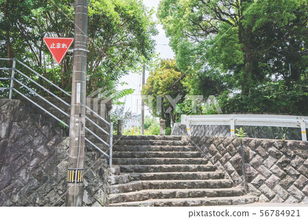 Stone stairs and fresh green park Stone stairs and fresh green park 56784921