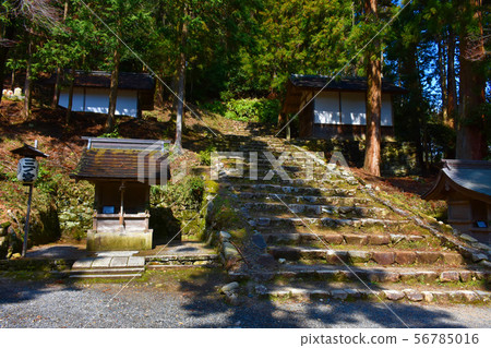 Hiyoshi Taisha Haruka Sannomiya 56785016