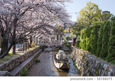 高瀨川春天 高瀨川春天 56786075