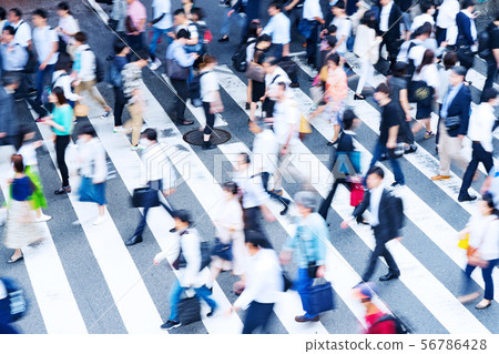 Pedestrian crossing Pedestrian crossing 56786428