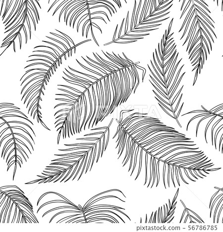 Monstera leaf of tropical plants Outline Palm leaf In a Trendy Minimalist  liner Style Vector Illustration For printing on tshirt Web Design beau  Stock Vector Image  Art  Alamy