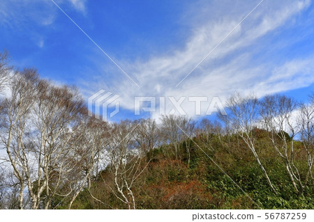 Tamahara高原的晚秋，山的山頂。 56787259