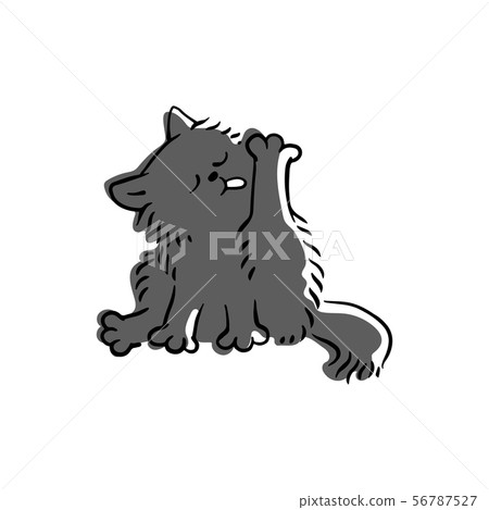 Cute funny domestic black or gray cat licks its paw. 56787527