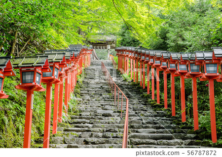 夏天的貴船神社 56787872