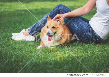 Asian woman with Welsh Corgi Pembroke dog 56787962