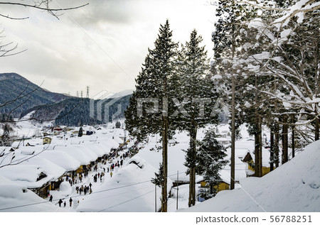 在苛刻的冬天大內juku 56788251