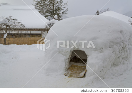 在苛刻的冬天大內juku 56788263