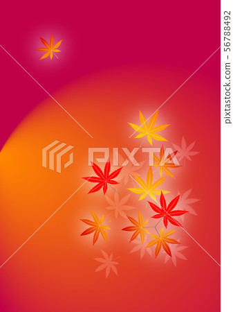 秋葉例證 56788492