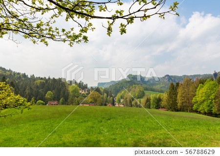 Rocky mountains valley and meadow, Europe nature 56788629