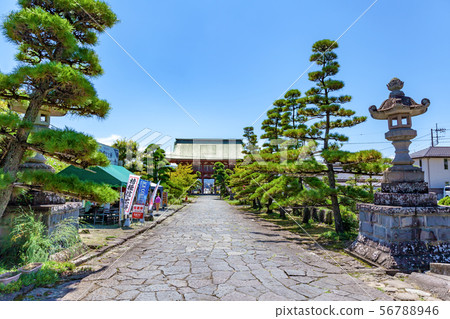 Kai Zenkoji Temple,進入神社 Kai Zenkoji Temple,進入神社 56788946
