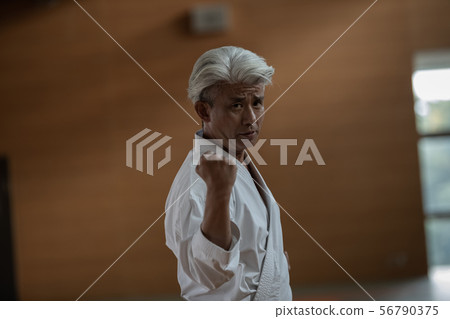 karate, empty hand, male 56790375