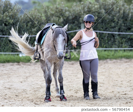 riding girl and horse riding girl and horse 56790454