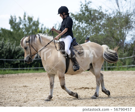 riding girl and horse riding girl and horse 56790457